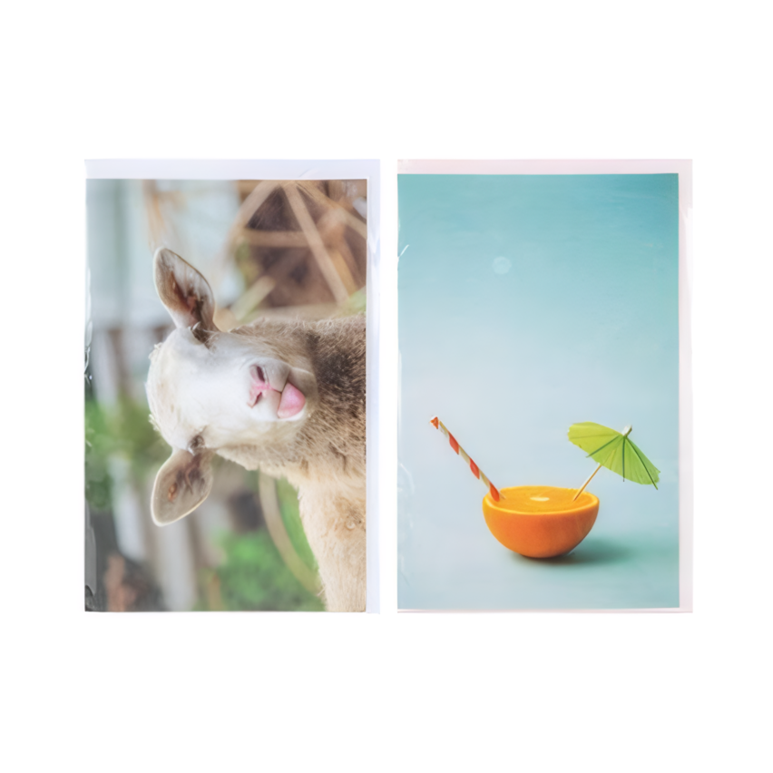 Blank Card and Envelope - Various Colours