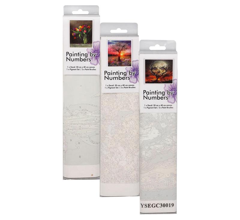 Art and Craft Paint By Numbers Kit - 30x40 cm