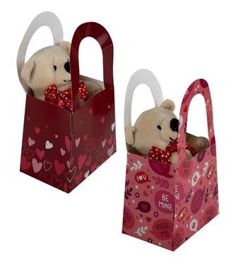 Plush Bear in Gift Bag with Assorted Designs - Love (9 cm)