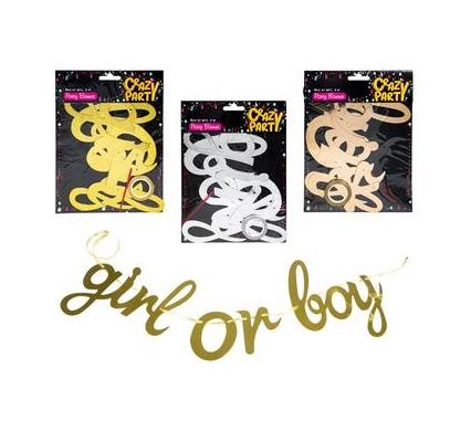 Party Banner Boy or Girl 2 Meter