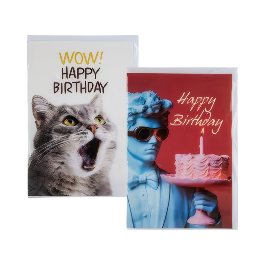 Funny Card and Envelope in Assorted Designs