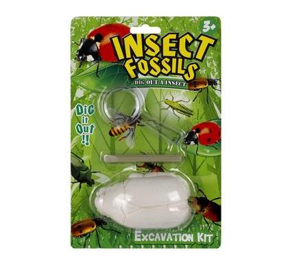 Educational Excavation Insect Fossil Kit - Assorted
