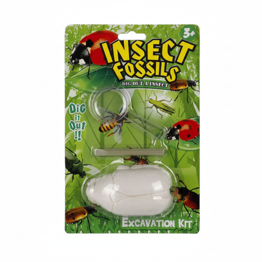 Educational Excavation Insect Fossil Kit - Assorted