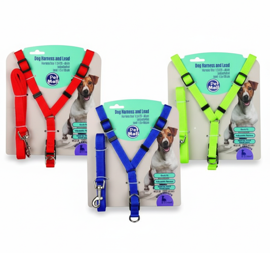 Pet Dog Harness and Lead - 1.5 x 25-40 cm