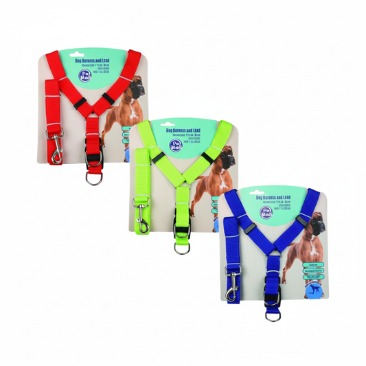 Pet Dog Harness and Lead - 2.5 x 40-60 cm
