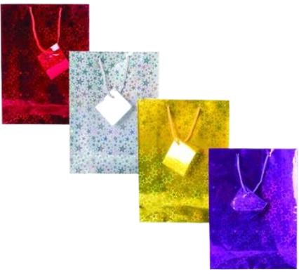 Medium Metallic Gift Bag - 20 x 28 cm - Assorted