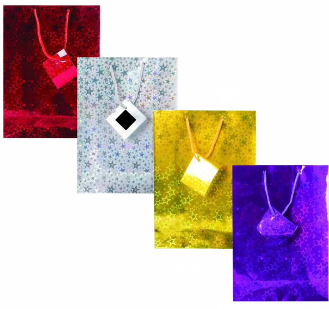 Metallic Gift Bag, Medium, Assorted (20 x 28 cm)