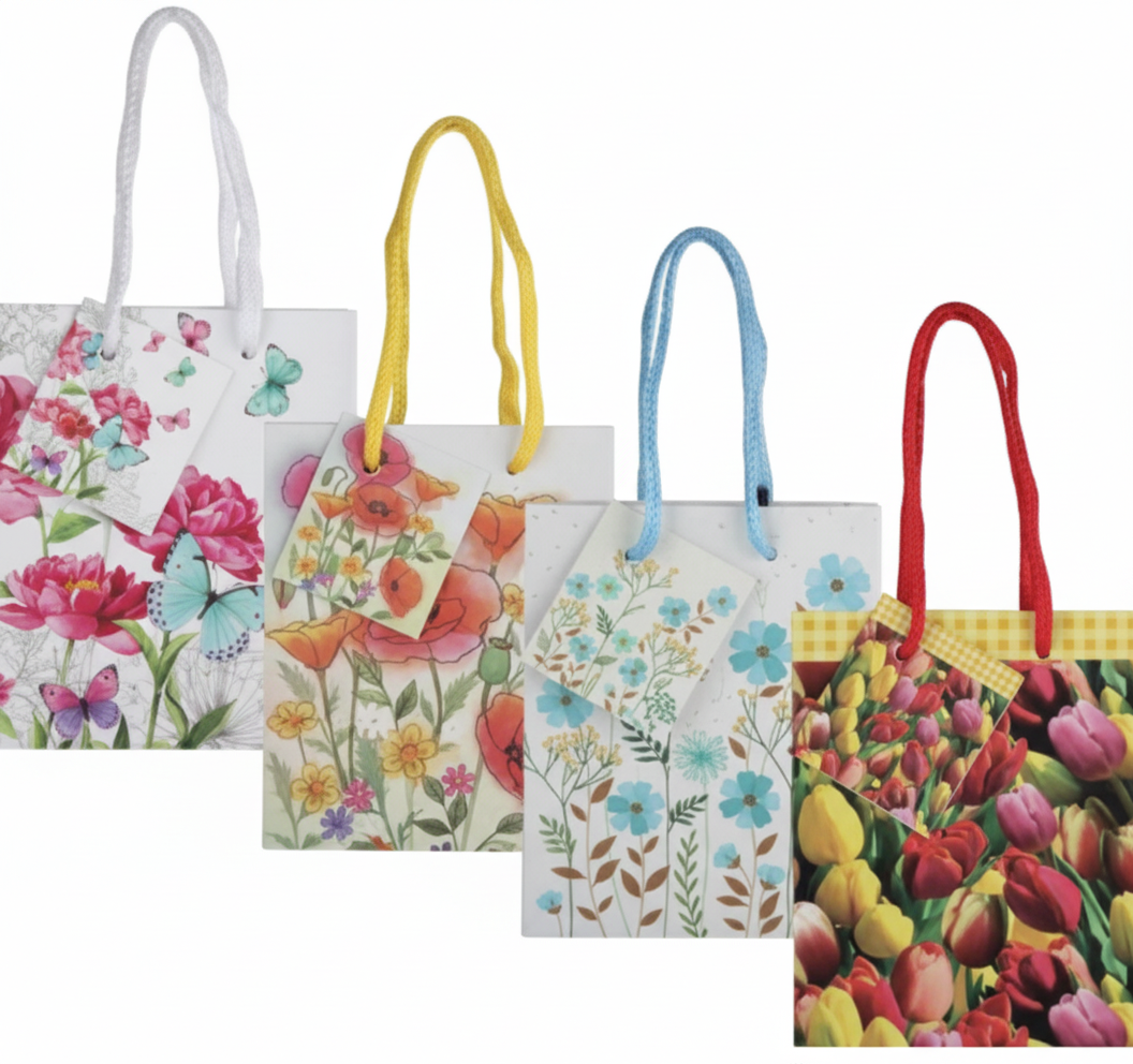 Small Everyday Gift Bag, Assorted (14 x 11 cm)