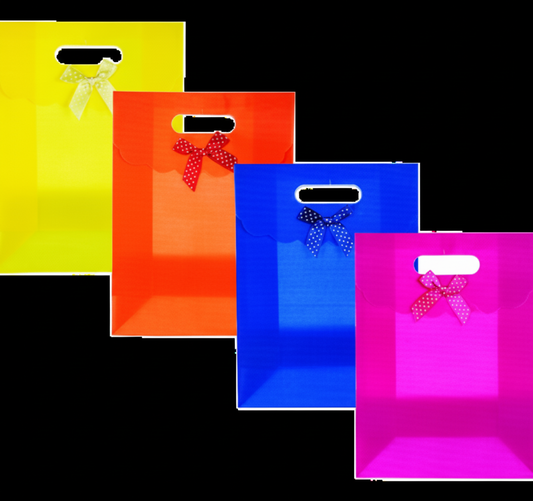 Everyday Gift Bag - 26 x 19 x 8.5 cm - Assorted