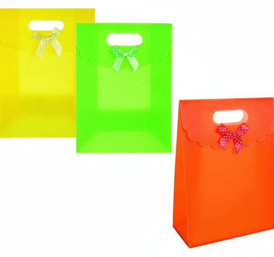 Everyday Gift Bag - 21 x 15 x 7.5 cm - Assorted