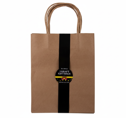 Large Kraft Paper Gift Bags, 3 Pack (20 x 25.5 cm)