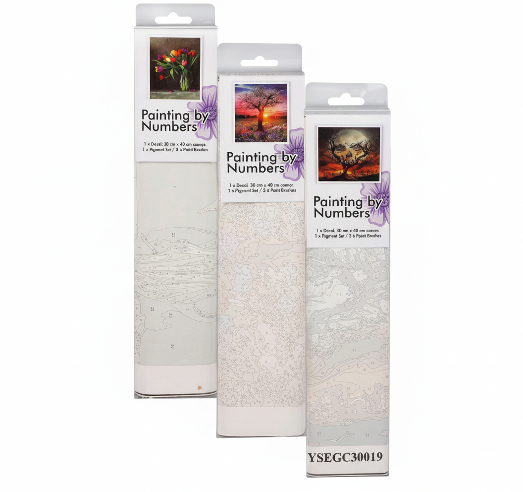 Art and Craft Paint By Numbers Kit with Assorted Designs (30x40 cm)