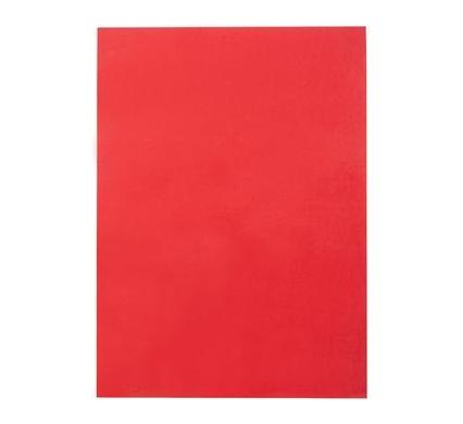 Project Art Paper Red - Bulk Pack of 10 - A4 - 160 gsm