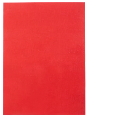 Red Project Art Paper, A4 160 gsm (Bulk Pack of 10)