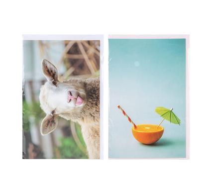 Blank Card and Envelope