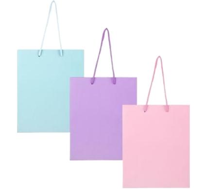 Gift Bag Pastel Color - Large - 25x32 cm